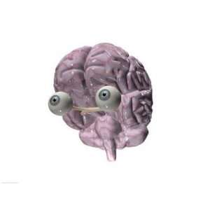   of a human brain with eye balls  24 x 18  Poster Print Toys & Games