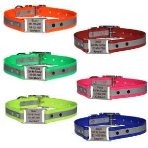   ScruffTag™ Personalized Dog Collar   6 Colors: Pet Supplies
