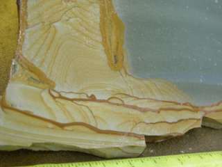 IS A REALLY GREAT HUGE SLAB OF OWYHEE PICTURE JASPER TOTALING 1 POUND 
