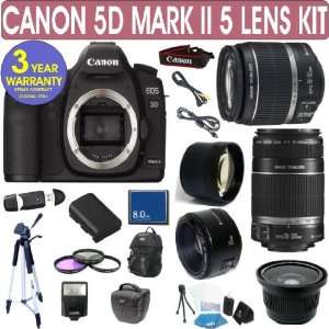 MARK II + Canon 28 135mm Lens + Canon 75 300mm Lens + Canon 50mm Lens 