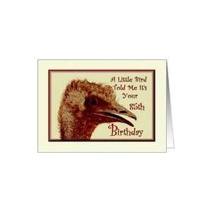  Birthday / 85th / Ostrich /Humorous Card Toys & Games