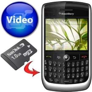    BlackBerry Curve 8900 Series Video Training 1GB Module Electronics