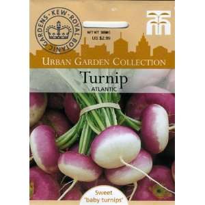   4822 Urban Garden Turnip Atlantic Seed Packet Patio, Lawn & Garden