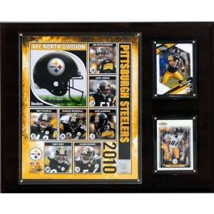  NFL Pittsburgh Steelers 2010 Team Plaque: Home & Kitchen