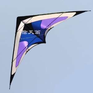  Dual line 7.9 Feet/2.4 Meter Power Stunt Kite   Focus 