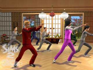 Ruhe und Entspannung finden die Sims beim Tai Chi