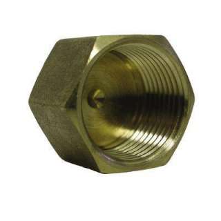 Watts 1/4 In. Brass Pipe Cap A 736 at The Home Depot 