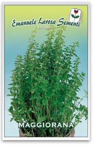 Semi/seeds/semillas/Samen Maggiorana erba aromatica  