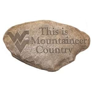   Sports America CLG0093 649 Country Stone Fake Rock