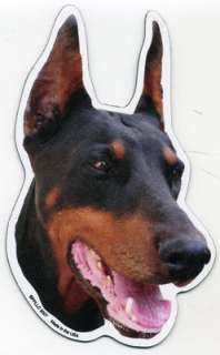 DOBERMAN PINSCHER Dog Head Car Magnet /  ON 2nd+  