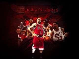 Derrick Rose Chicago Bulls NBA Star 21Inches Poster  