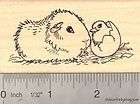Guinea Pig with Hatching Chick, Easter Rubber Stamp J16