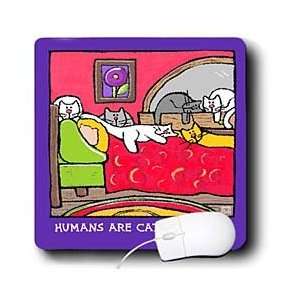  Funny Cat Gifts   Cat Furniture, Cartoon Cats, Cats, Cat, Funny cats 