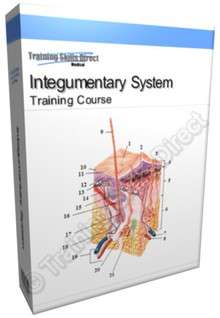 Integumentary System Skin Disease Training Book Course  
