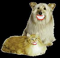PETZLIFE SPRAY & REFILL 2.2 & 8 oz Clean dog teeth  