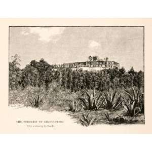  1894 Print Bosque De Chapultepec Fortress Castle Forest 