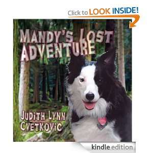 Mandys Lost Adventure Judith Lynn Cvetkovic  Kindle 