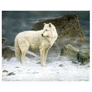  Scott Zoellick   High Arctic Wolf