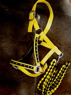 Nylon Horse Halter & LEAD ROPE SILVER YELLOW TACK BLING  
