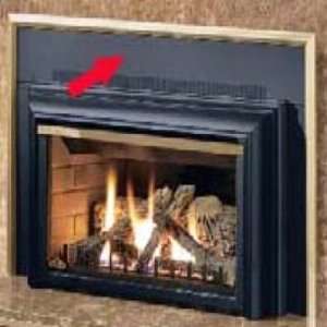   the Inspiration Gas Fireplace Insert   Painted Black