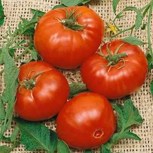  Heirloom Organic Brandywine Tomato Seeds Patio, Lawn 