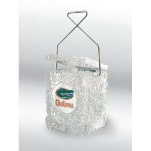    Wizard Neon Florida Gators Premium Ice Bucket: Sports & Outdoors
