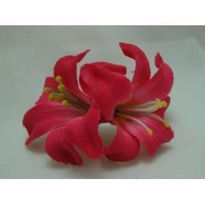  Small Double Pink Lily Hair Flower Clip: Beauty
